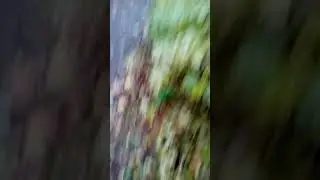 Да поспи потом проснёшься, встанешь