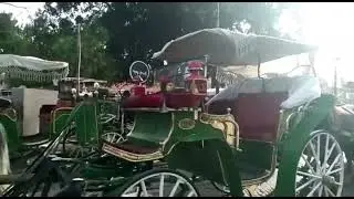 مراكش تحتضر