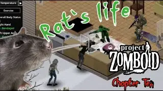 Rat's life - Chapter Ten | [Project Zomboid]
