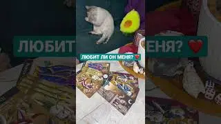 ЛЮБИТ ЛИ ОН МЕНЯ? ❤️~ Таро онлайн расклад 🧿