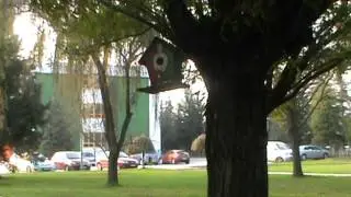 ............