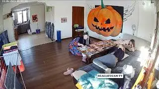 WINTER CAME TO MONICA'S HOUSE - REALLIFECAM TV