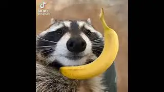 FUNNYN'T | VINE 148