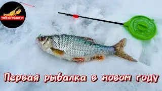 Первая рыбалка в 2024 году. Токаревское озеро.