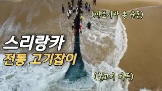 대박 신기한 그물 고기잡이 법 