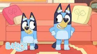 Ríete con Bluey y Bingo | Bluey Español Canal Oficial