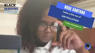 BIMS Bites- Air Pollution