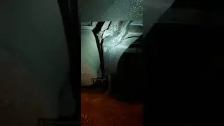 24 января 2023 г.