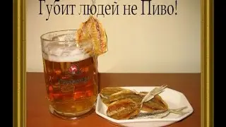 ГУБИТ ЛЮДЕЙ НЕ ПИВО - Влад НЕЖНЫЙ