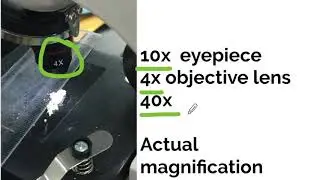 Working with Microscopes