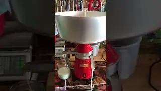 Сепаратор Мотор Сич. Мини обзор