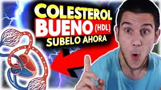 🩸⚡Learn how to INCREASE your HDL or GOOD CHOLESTEROL in a *simple* way
