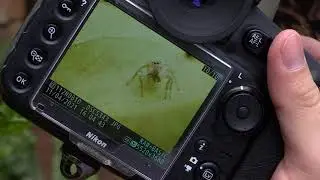 La macrofotografía una pasión en el detalle - Telemedellín