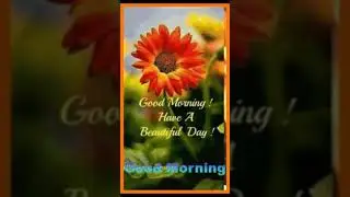 good morning 🎉🎉🎉❣️❣️❣️💞💞