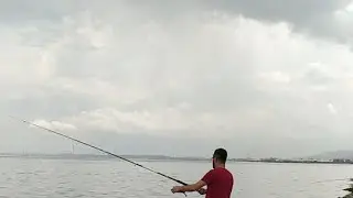 Samsun İstavrit Balik Denemesi