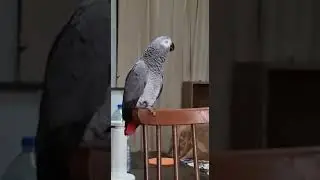 Спокойно посидим, поговорим