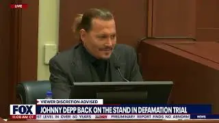 Johnny Depp  Amber Heard's friend was getting too 'affectionate' with her   LiveNOW from FOX