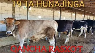 HUNAJIN BOQISH USULI,1KUNLIK RASXO'T...