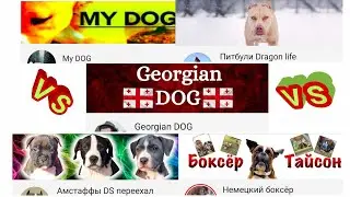 Специально для фанатов Питбули Dragon life 😉 ДЛЯ наших хейтеров 🤫