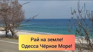 Рай на земле, Одесса Чёрное Море Украина. Кораблей нет. Украина Россия война 2022 пляж Одессы