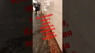 кто то насрал прям в метро средь белого дня