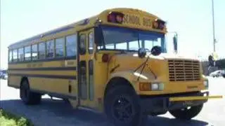 Bus #302