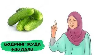 Бодринг мазали ва фойдали.