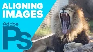 How to Align Your Layers using Load Files into Stacks in Photoshop