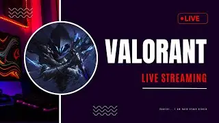 Road To PLAT!