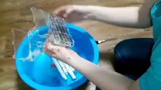 Большая семья Мессор Барбарус в ферме 4ants.
