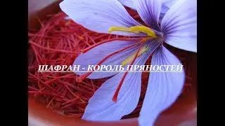 Шафран