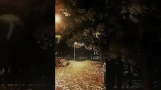 3 сентября 2024 г.