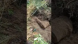 ОТКОПАЛИ БАЛАНСИР