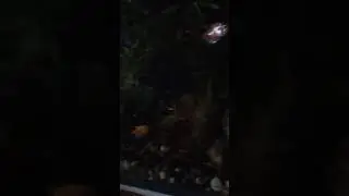 ЧУДЕСА НА ВИРАЖАХ 🥰🥳🤣