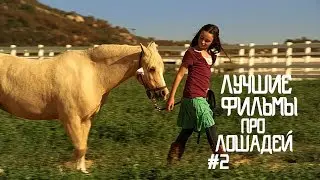 ТОП 10 ЛУЧШИХ ФИЛЬМОВ ПРО ЛОШАДЕЙ/ФИЛЬМЫ ПРО ЛОШАДЕЙ/ЛУЧШИЕ ФИЛЬМЫ О ЛОШАДЯХ 2