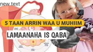 5 TALO oo  MUHIIM U AH LAMAANAHA IS QABA