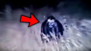 Top 5 Scary Creature Videos You've NEVER Seen!