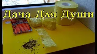 ХИТРАЯ посадка МОРКОВИ, чтобы потом не прореживать! Делаем ЭТО СЕЙЧАС🌱🌱🌱