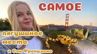 Калифорнийская академия наук: Удивительный музей лягушек