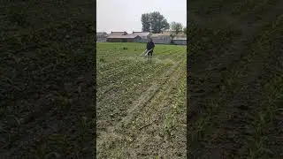 Spraying Pesticides On Crops #Farmer