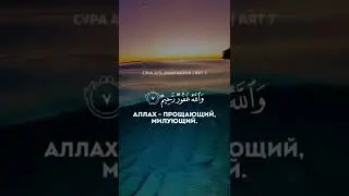 31 июля 2022 г.