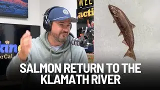 First Salmon in Over a Century Returns to Klamath River After Dam Removal