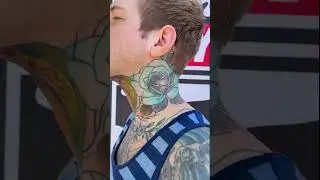 shawntriple6