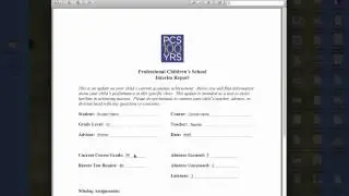 Writing Interim Reports