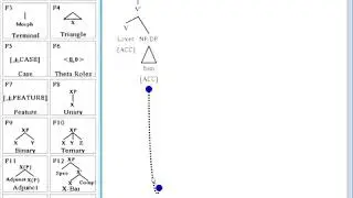 TreeForm Instruction Video