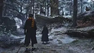 Hogwarts Legacy - Fire and Vice Walkthrough