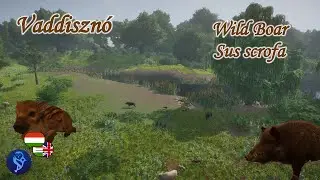 🐗Planet Zoo animals #154 | Wild Boar