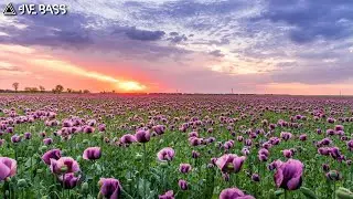 Best Bass Boosted Chill Mix 2022 🌺 Best Spring Chill Mix 🌺 Best Beats to Relax/Study/Sleep to