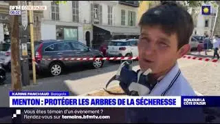 BFM TV Côte d'Azur