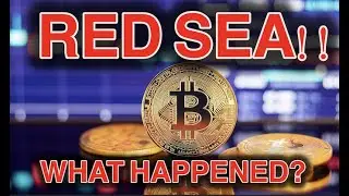 What Caused the Bitcoin Price Dip?!?